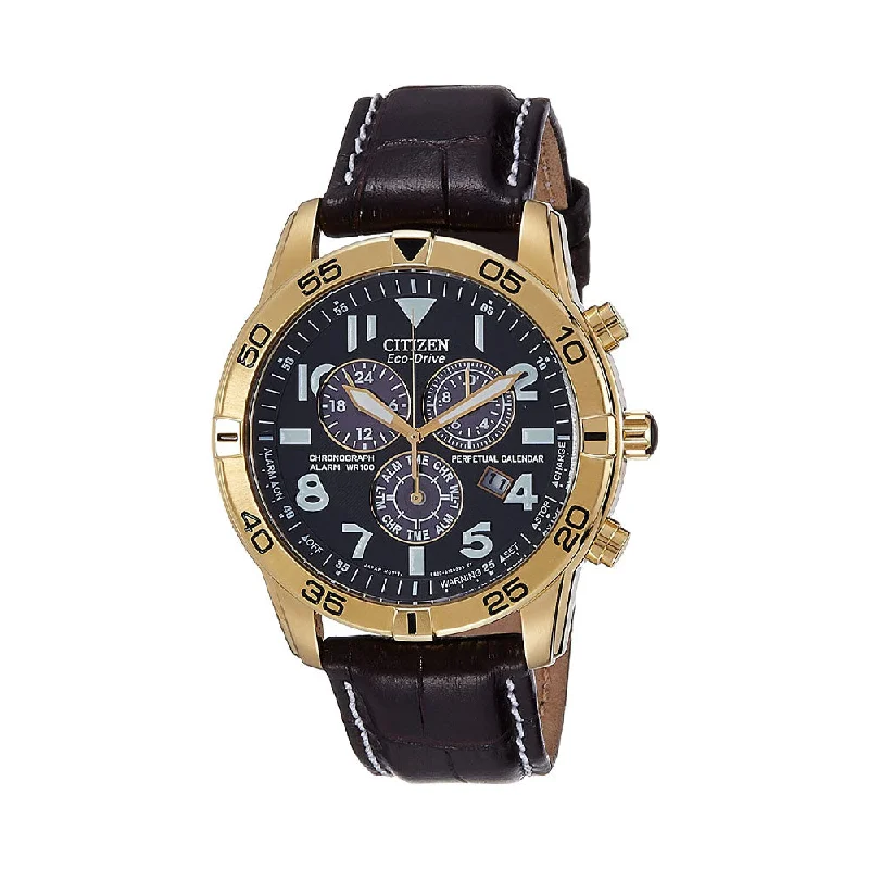 Citizen Eco-Drive Perpetual Calendar Men's Watch - BL5472-01E