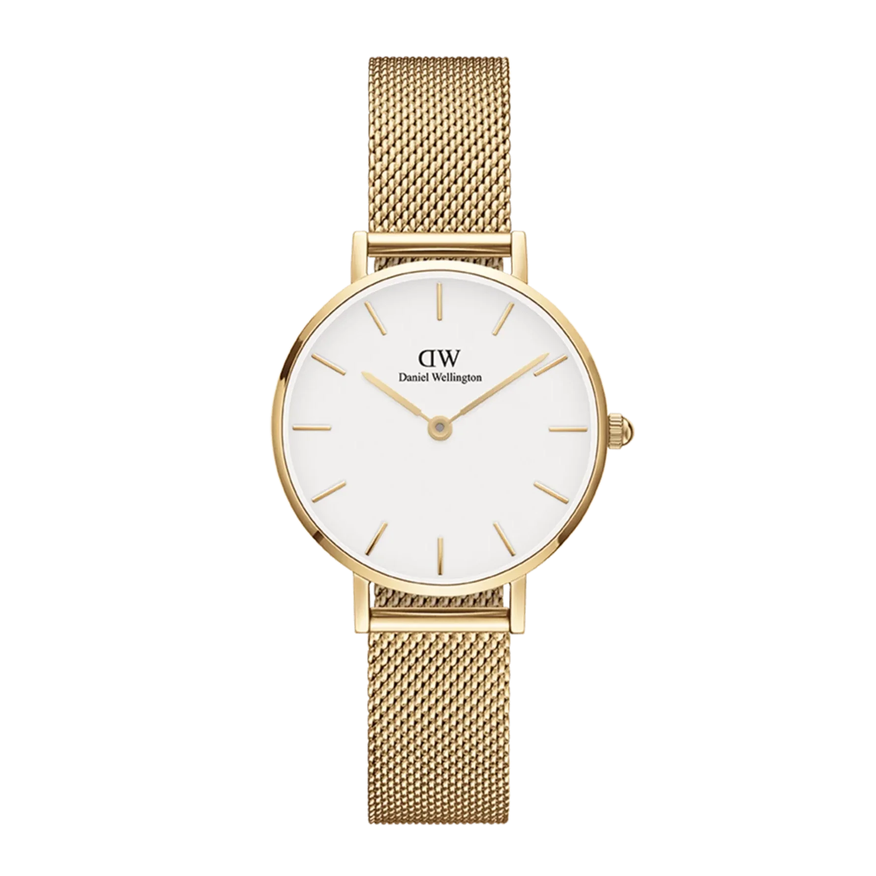 Daniel Wellington Petite Evergold Ladies Watch DW00100346