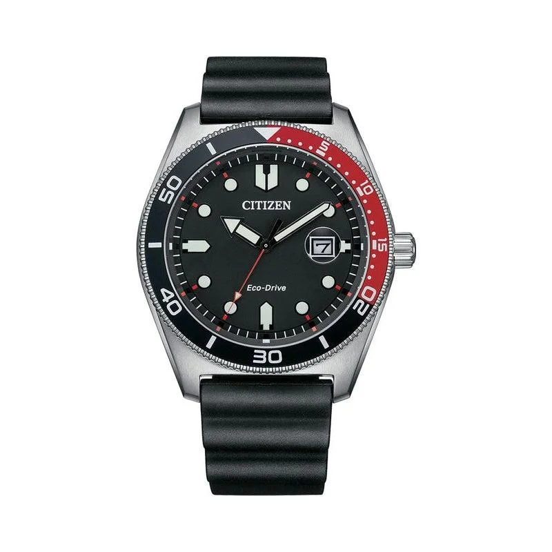 Citizen Eco-Drive Black Dial Date Watch